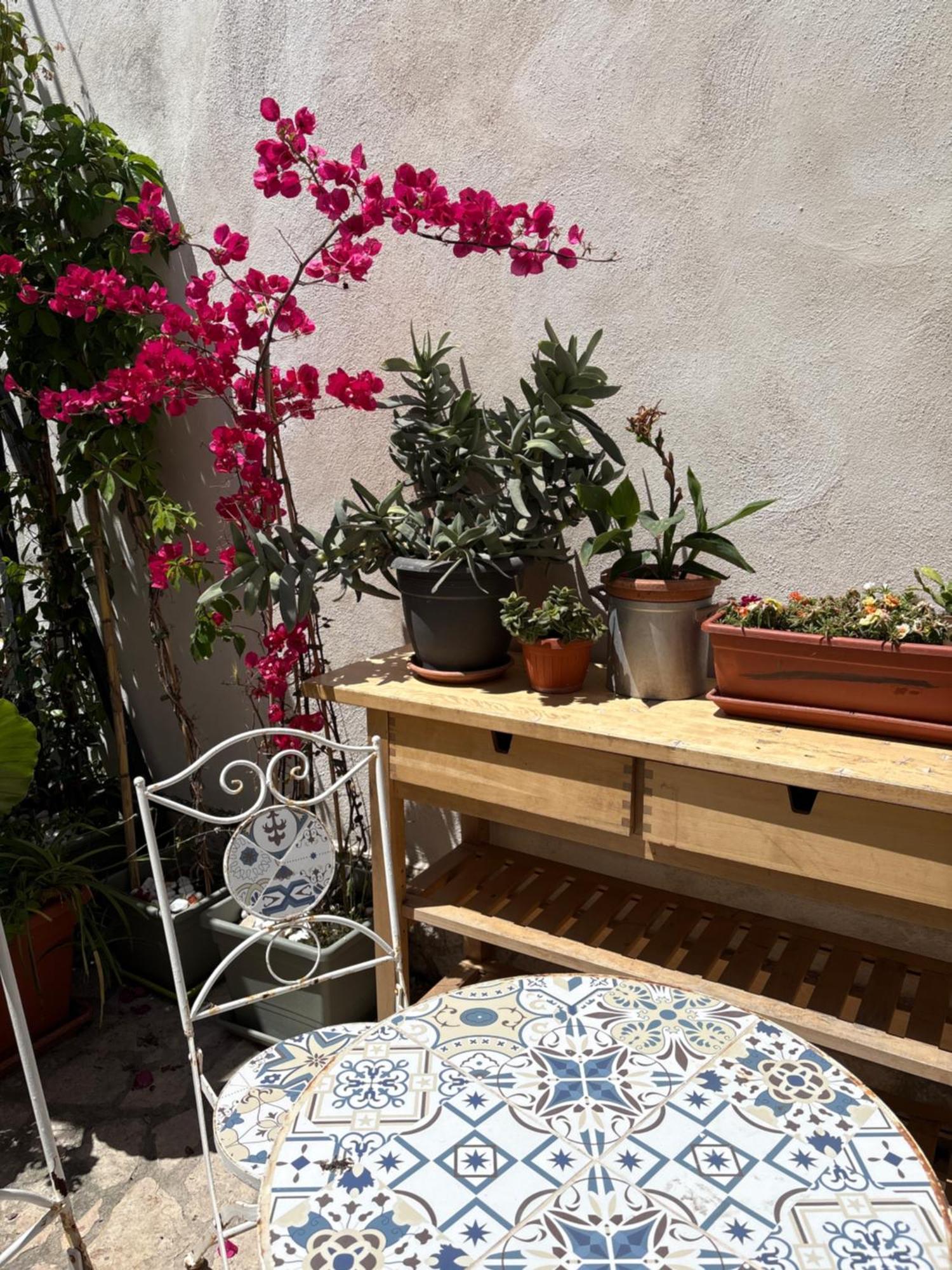 Il Giardino Dei Limoni *