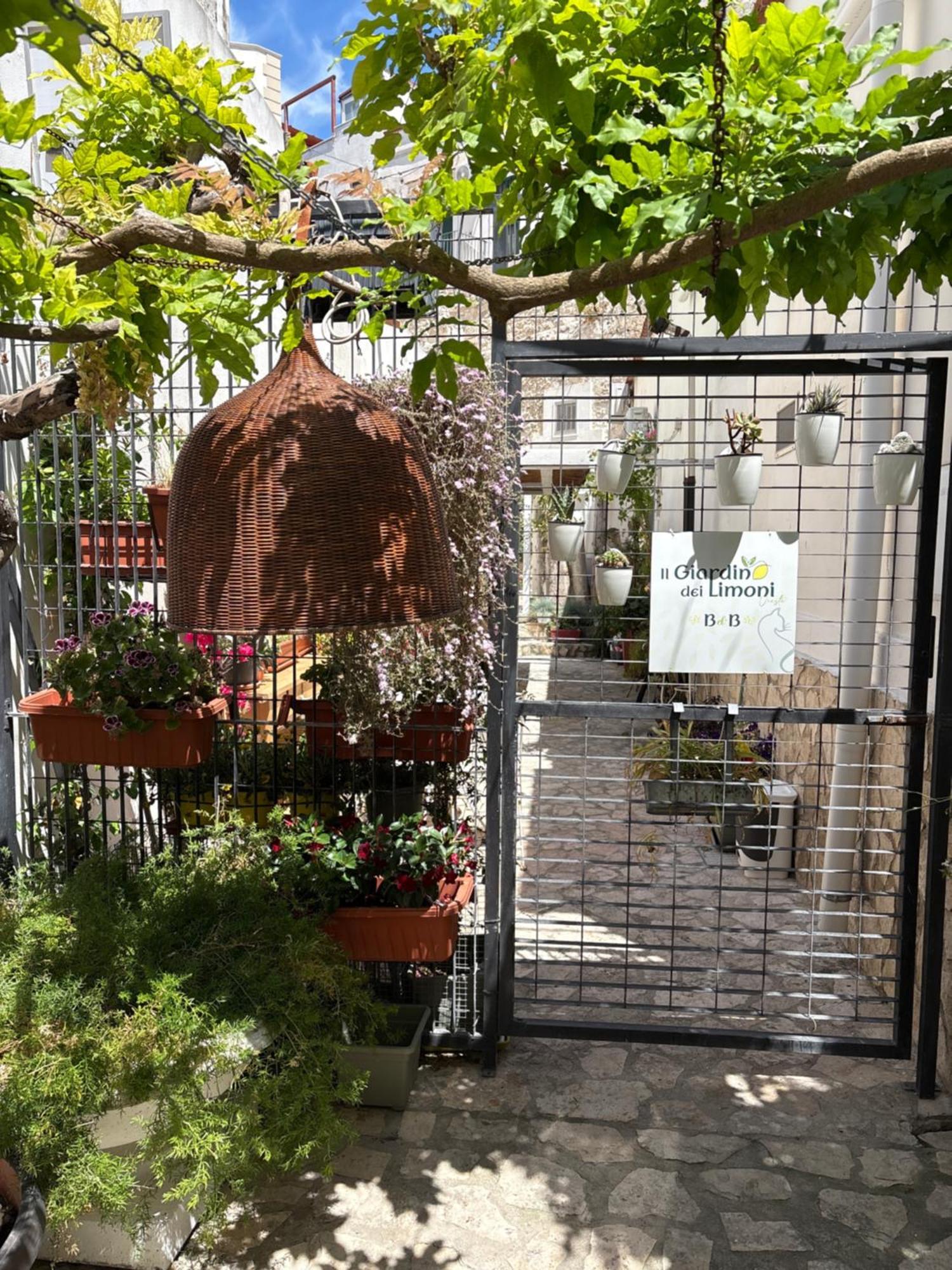 Il Giardino Dei Limoni Vieste
